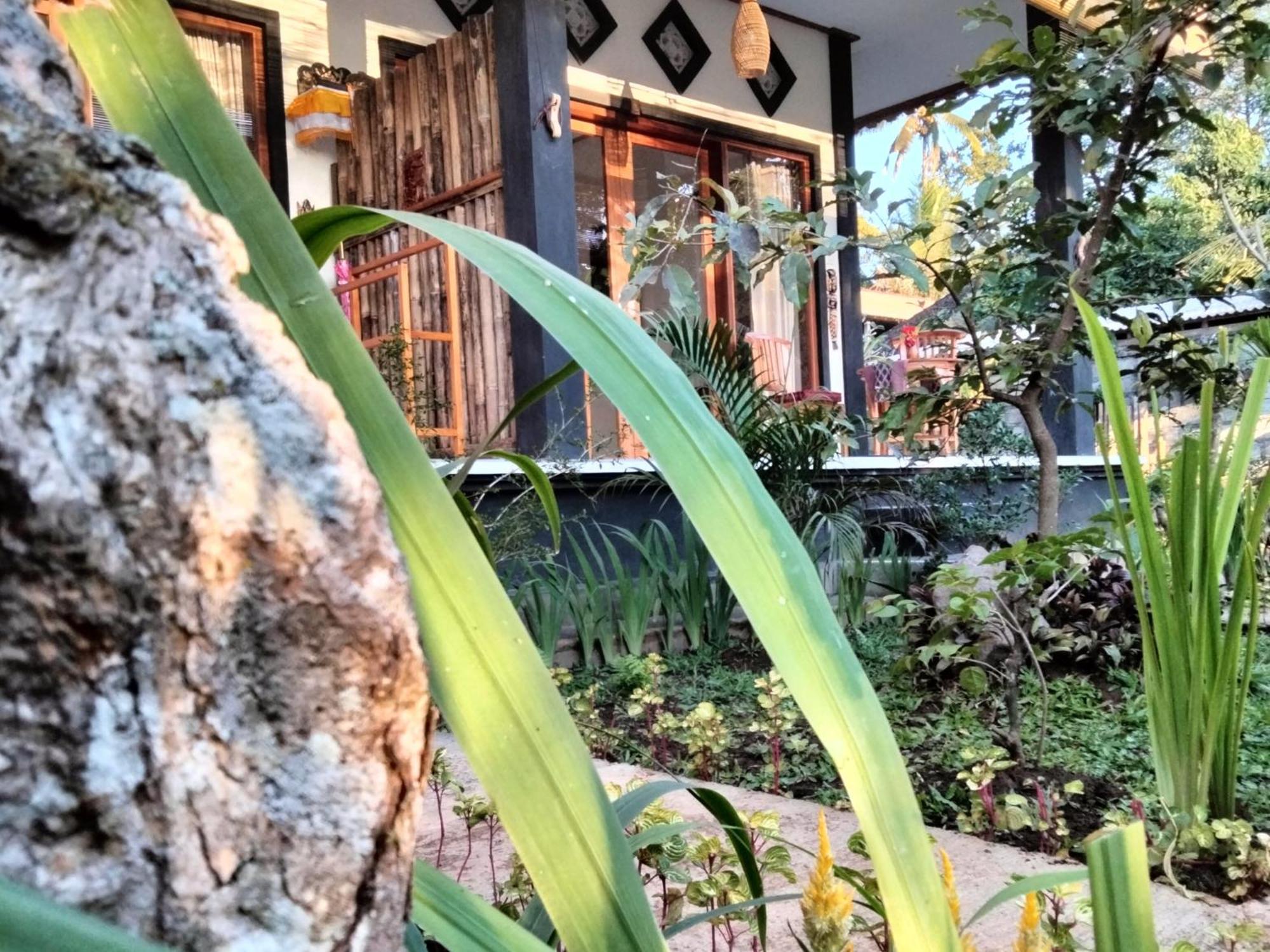 Buntera Homestay Sidemen Sidemen  Rum bild