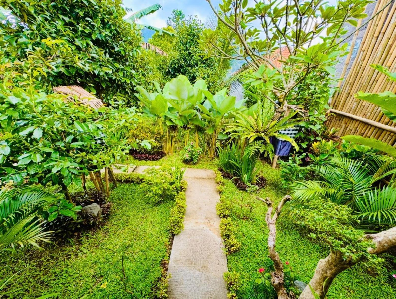 Buntera Homestay Sidemen Sidemen  Rum bild