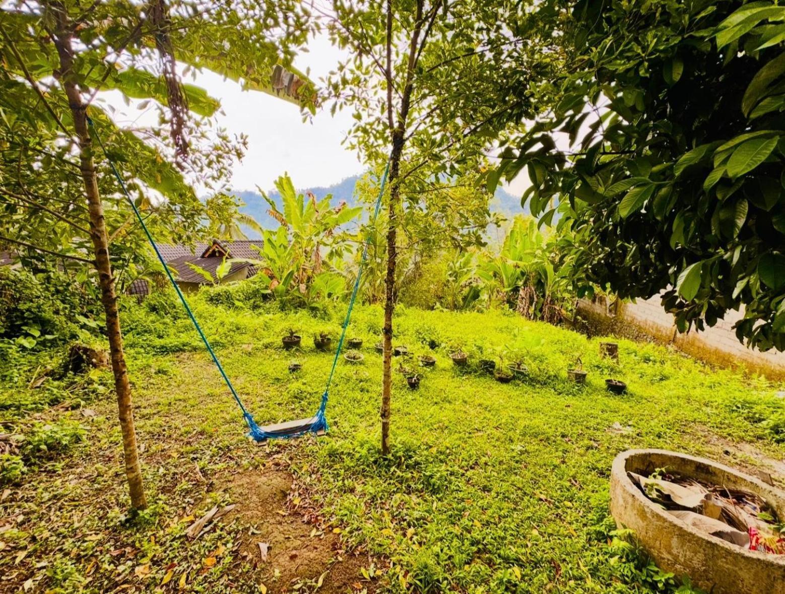 Buntera Homestay Sidemen Sidemen  Rum bild